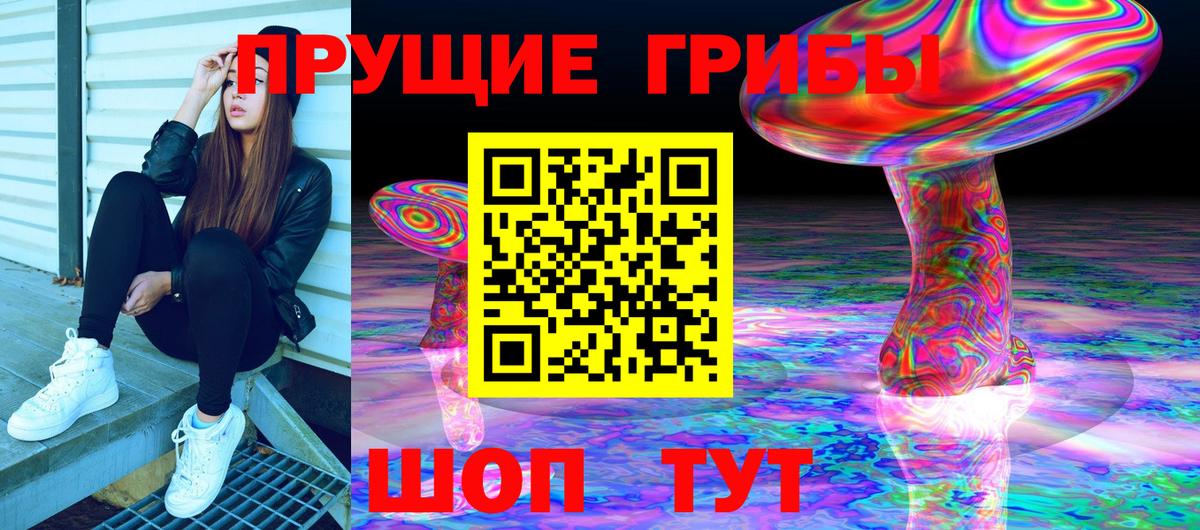 Галлюциногенные грибы Psilocybine cubensis  Вход с VPN  Карталы 